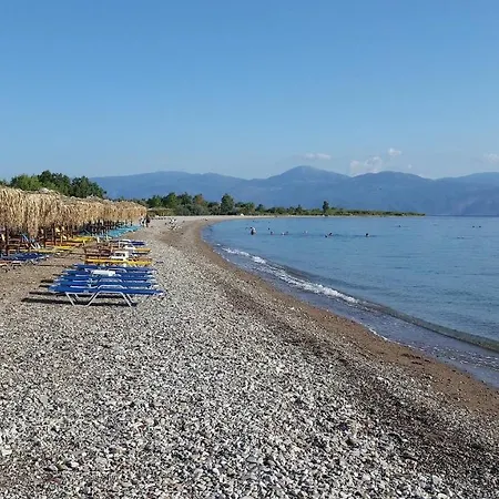 Rousetis Αίγιο